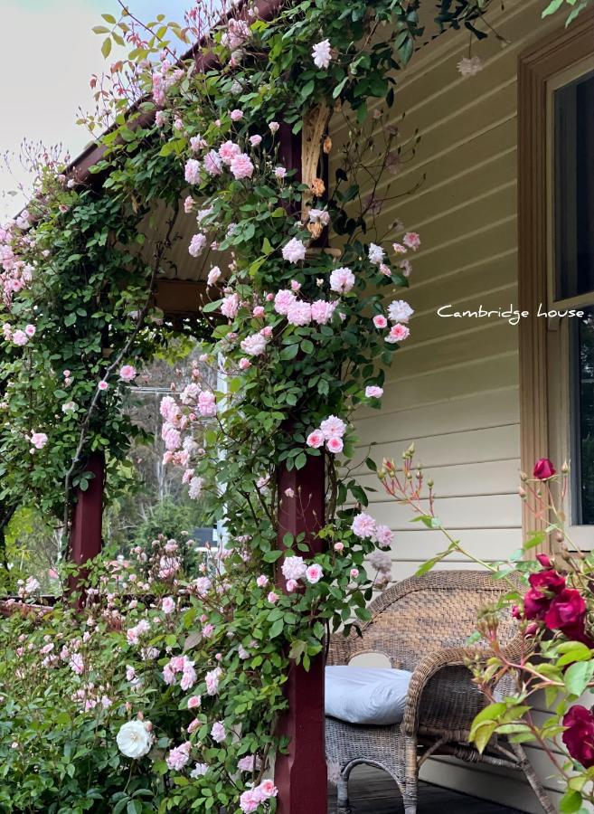 Bed & Breakfast Cambridge House Breakfast & Bed Geeveston