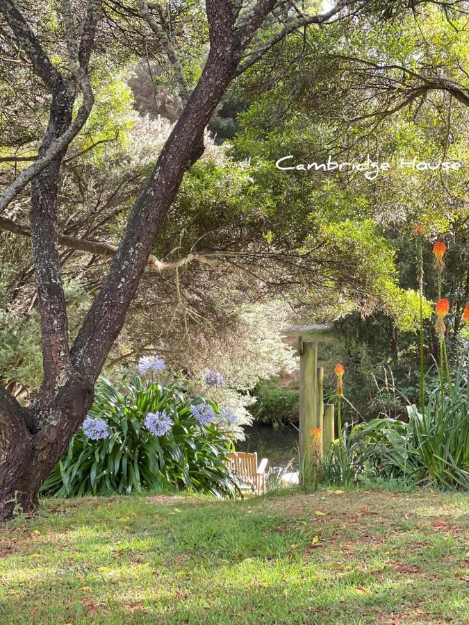 Bed & Breakfast Cambridge House Breakfast & Bed