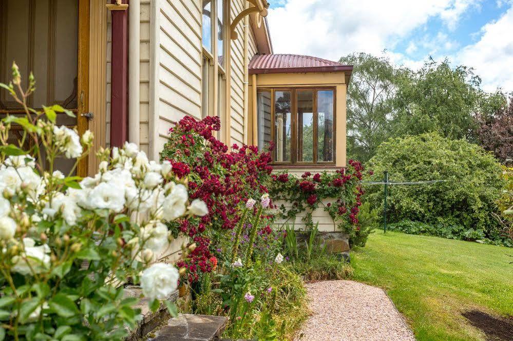 Bed & Breakfast Cambridge House Breakfast & Bed Geeveston