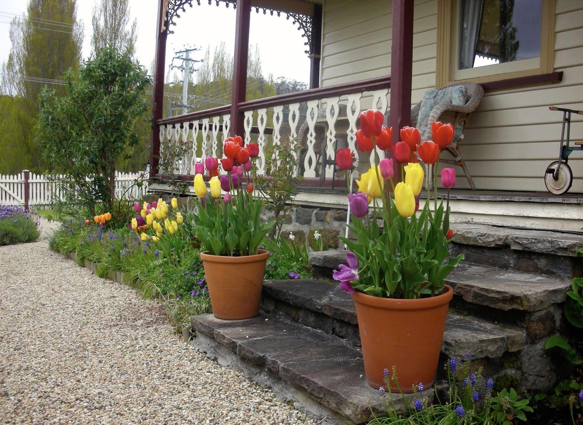 Bed & Breakfast Cambridge House Breakfast & Bed Geeveston